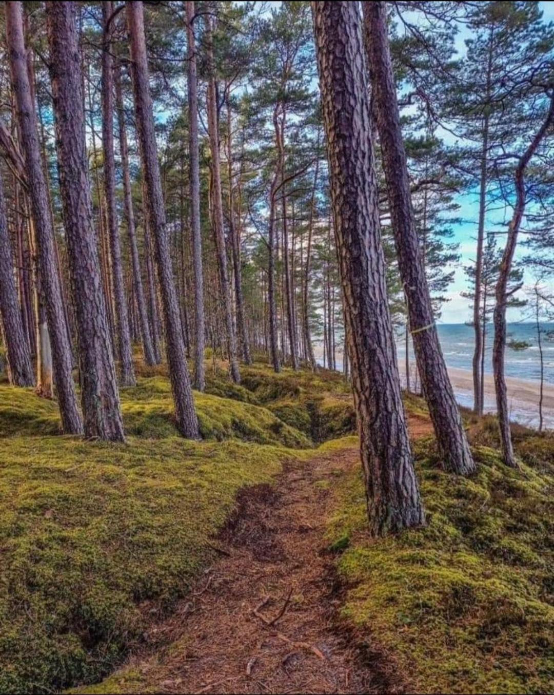 Апартаменты Seaside Albatross Menesdarzs
